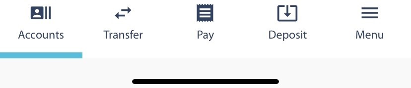Accounts tab, mobile view, DB Hub, Travis CU,